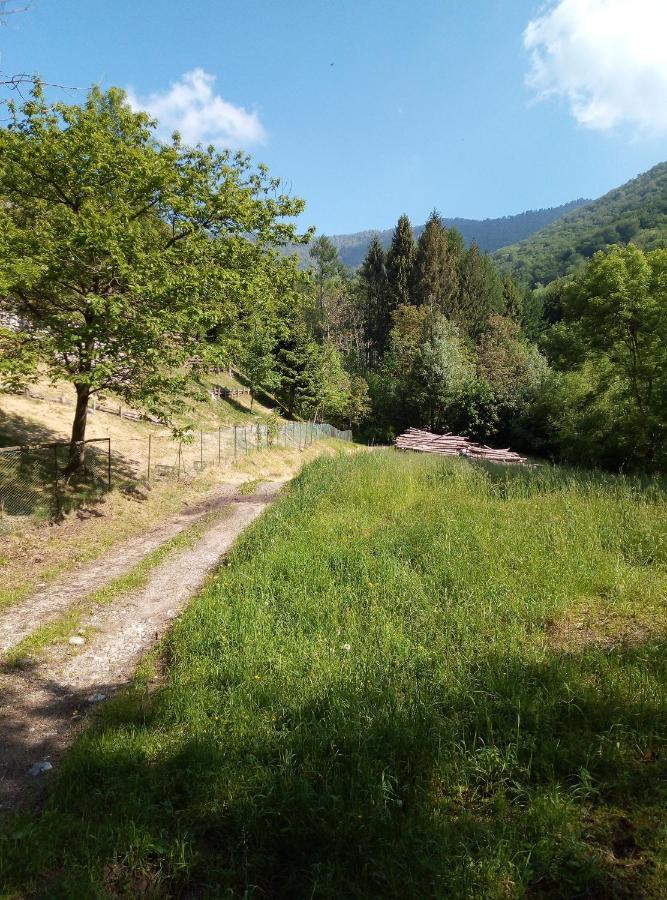 Grigioperla Daire Tavernerio Dış mekan fotoğraf